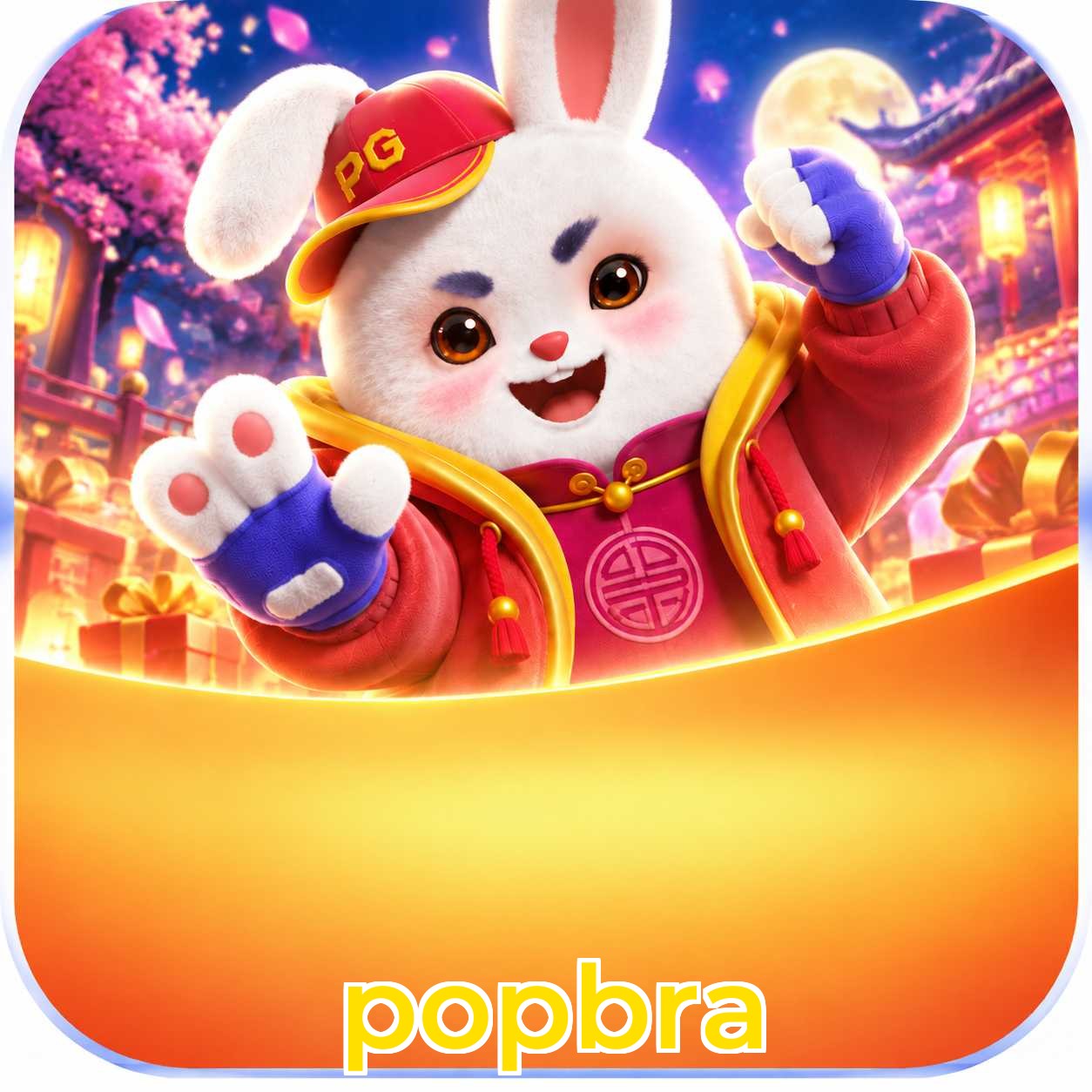 popbra Requirements